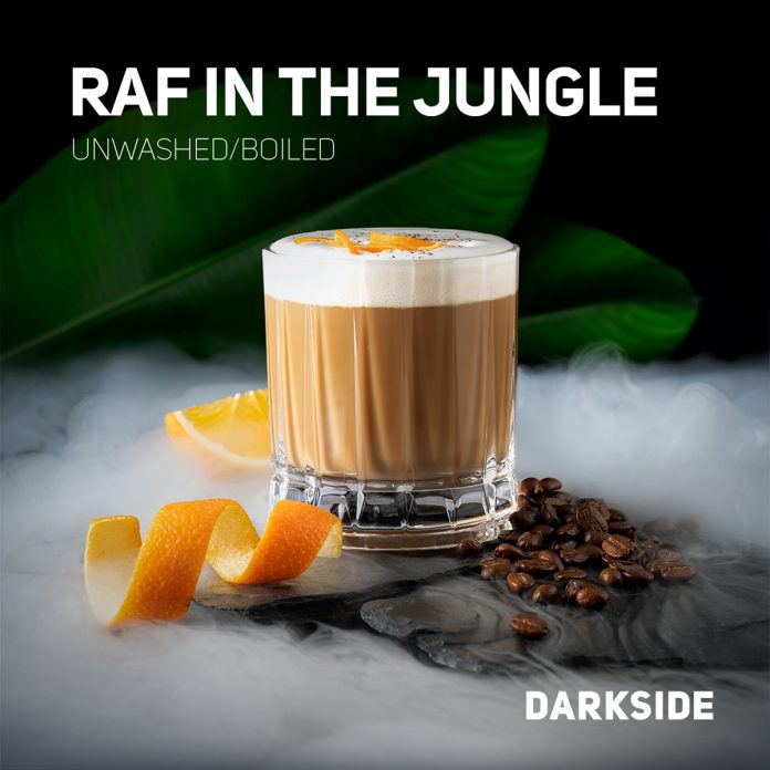 darkside-raf-in-the-jungle.jpeg