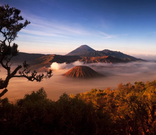 Производство угля для кальяна на Яве